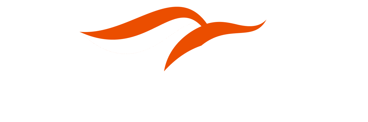KloudFox Logo