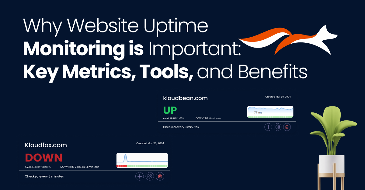 Website Uptime Monitoring